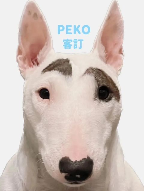 image_4C09B0CA-ADE1-4811-85AC-751D1174EFF3_1767606390