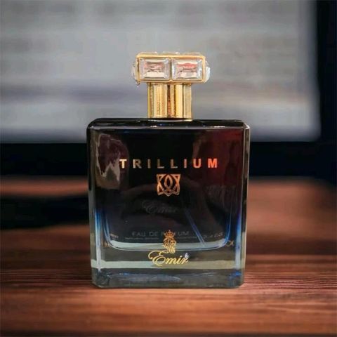 EMIR TRILIUM EDP 100 ML 1