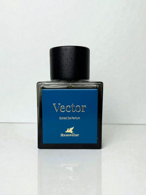 vector -Photoroom