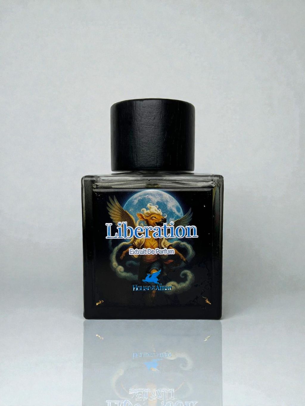 transparent-Photoroom (5)