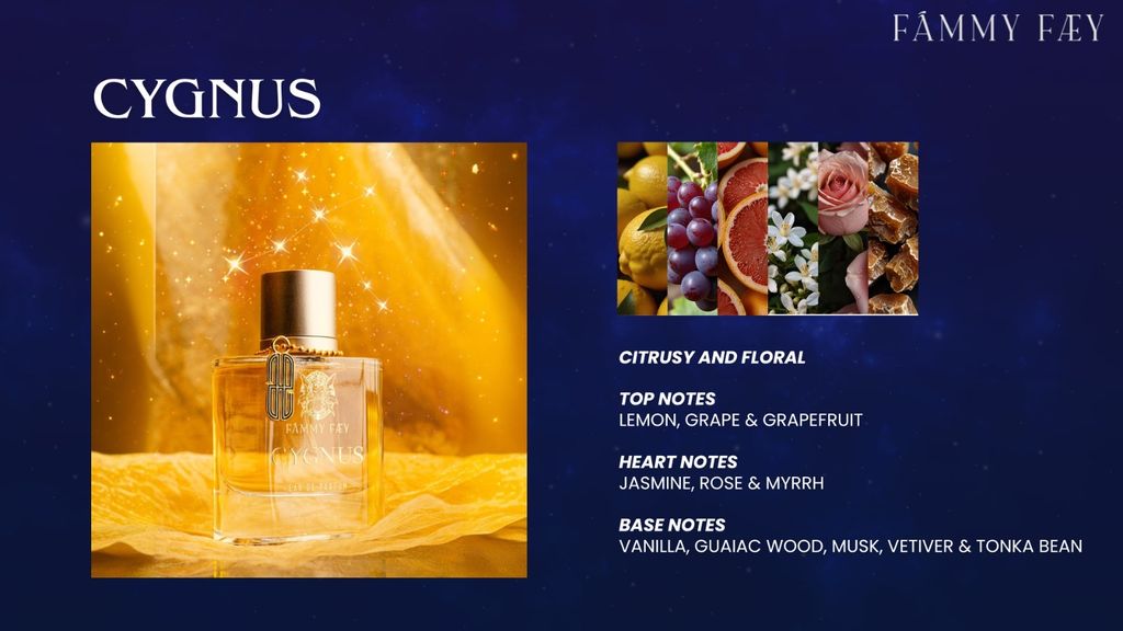 WhatsApp Image 2025-12-03 at 12.14.23