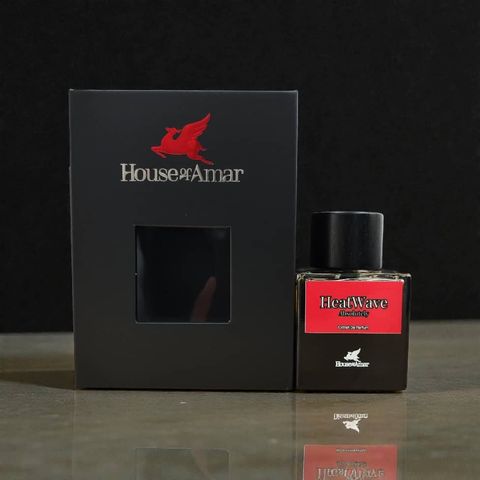 WhatsApp Image 2025-12-12 at 21.22.51