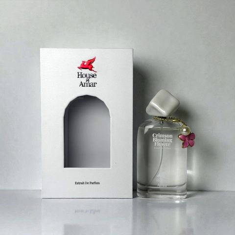 transparent-Photoroom (13)