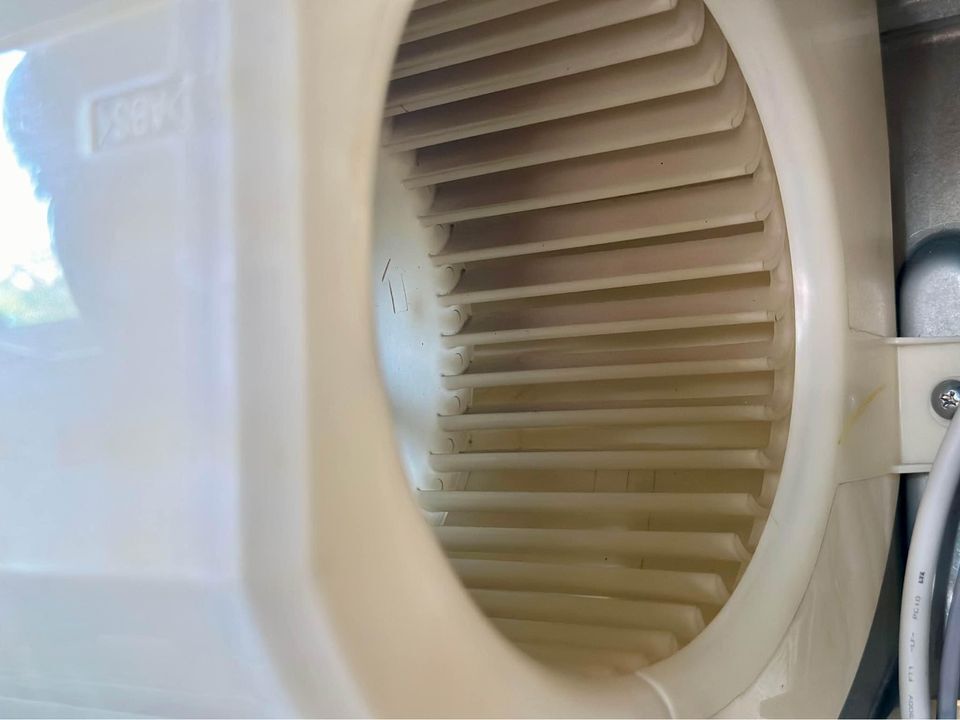 425379265_7329306740482388_4258461456264667496_n