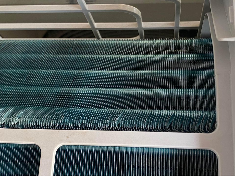 437558047_3662390880666028_3203412630390837882_n