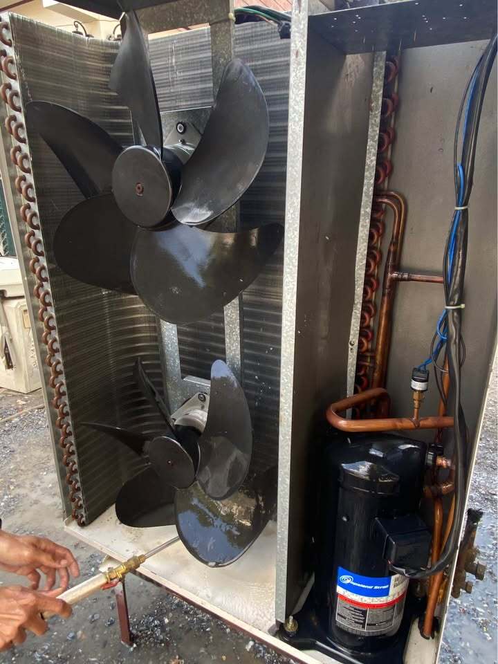 611353103_1440880977635690_8458045916377377281_n