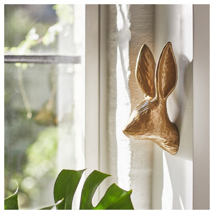 IMG_0019-1704694361110