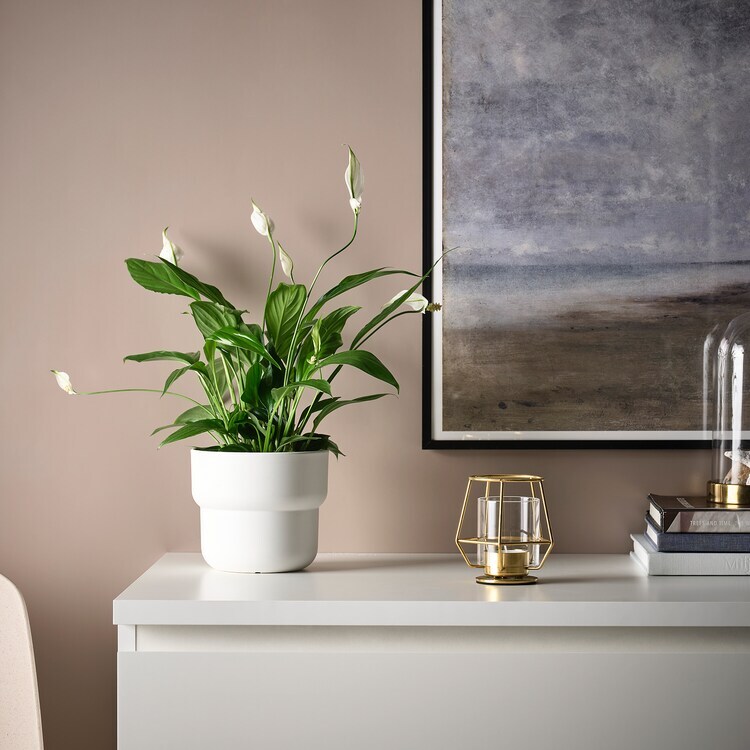 IMG_0040-1704696178438