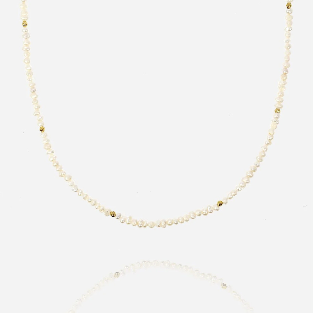 image_21B7A551-579C-4A52-9C64-E0D3F1124789_1776525452