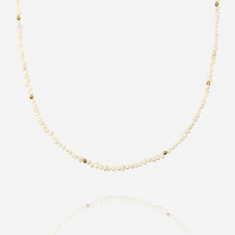 image_21B7A551-579C-4A52-9C64-E0D3F1124789_1776525452