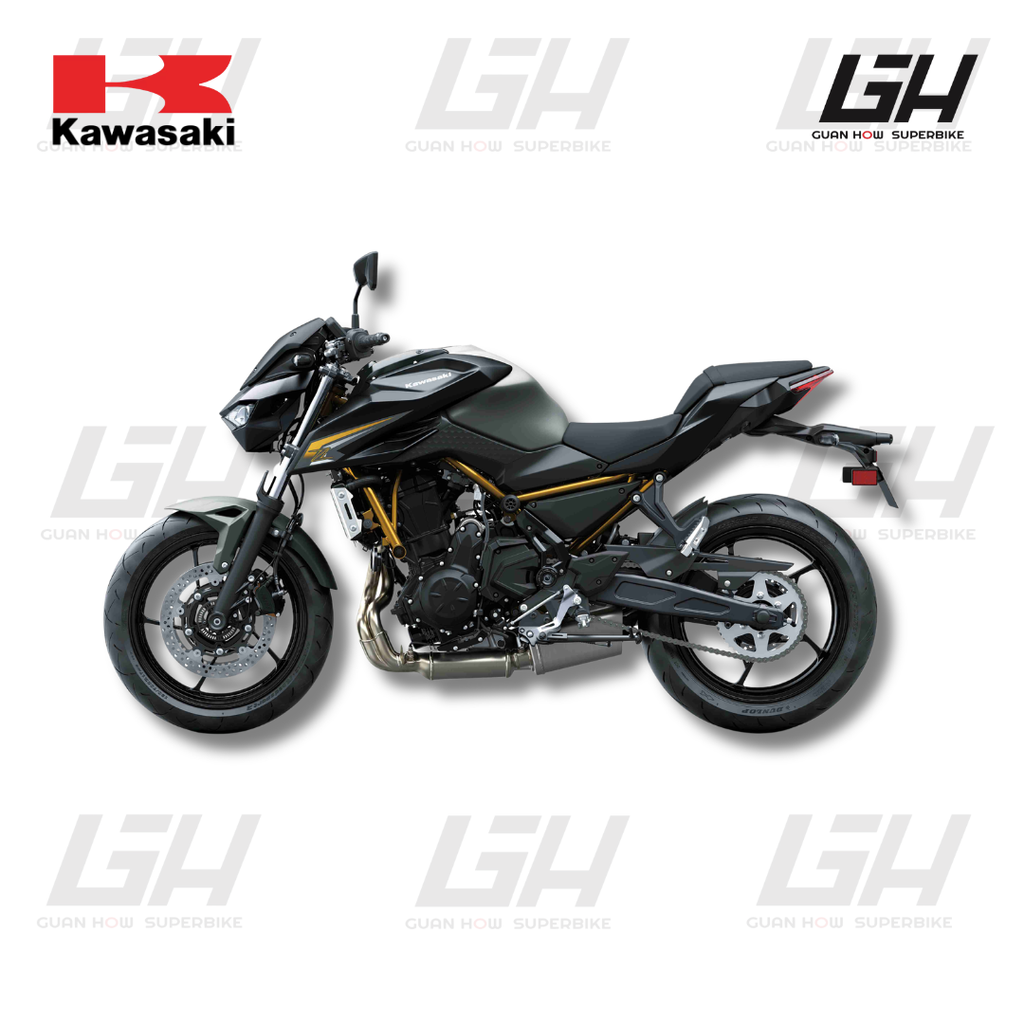 KAWASAKI WEBSITE (41)