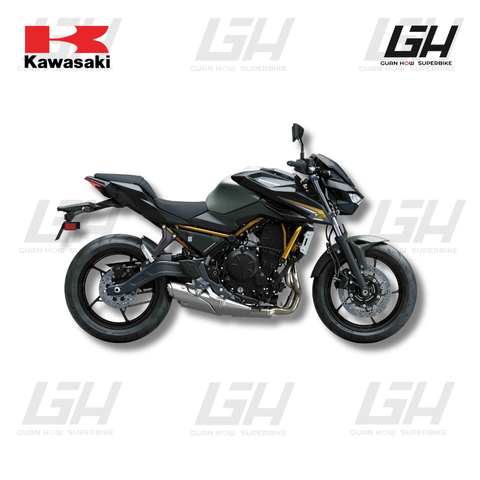 KAWASAKI WEBSITE (40)