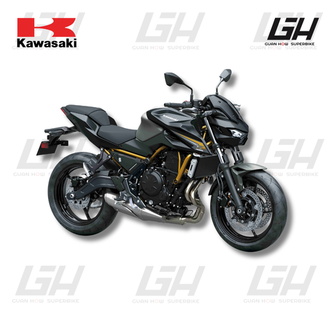 KAWASAKI WEBSITE (39)