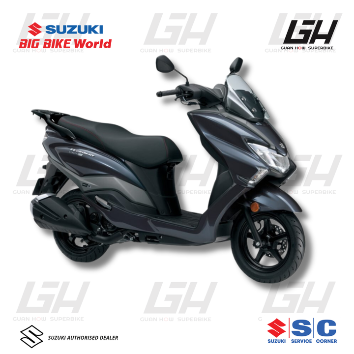BURGMAN GREY