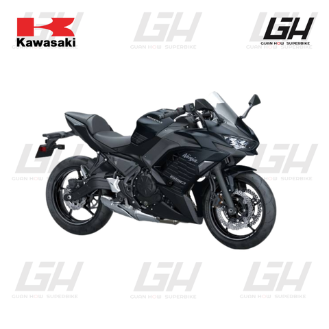 KAWASAKI WEBSITE (4)