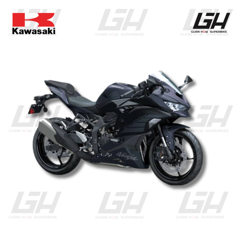 KAWASAKI WEBSITE (5)