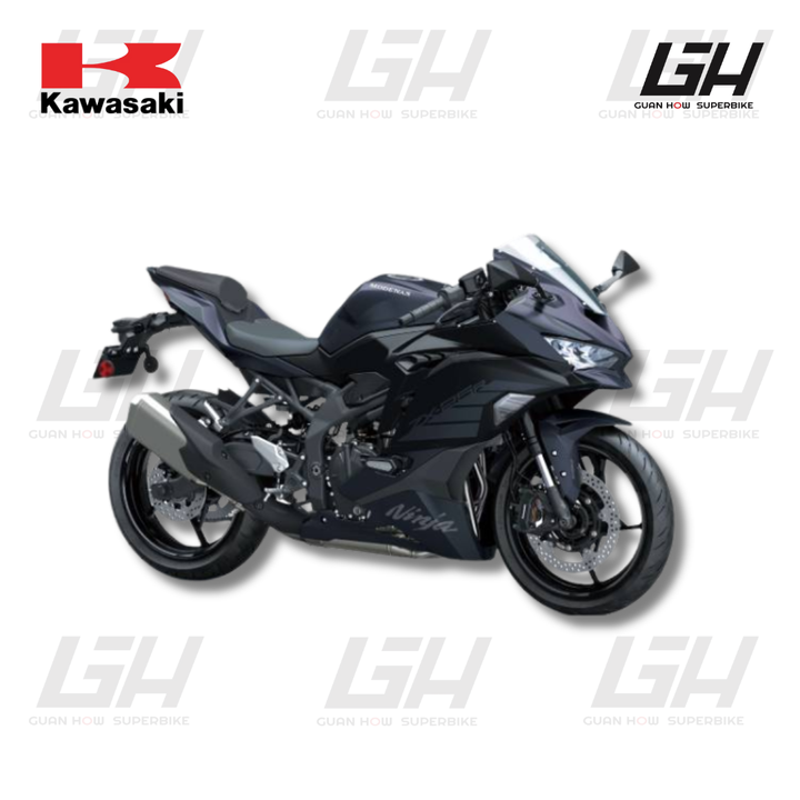 KAWASAKI WEBSITE (5)