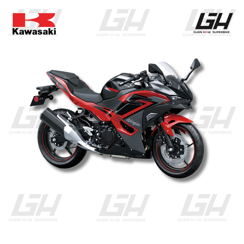 KAWASAKI WEBSITE (13)