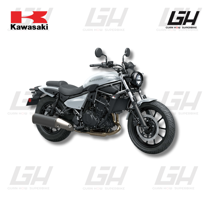 KAWASAKI WEBSITE (15)