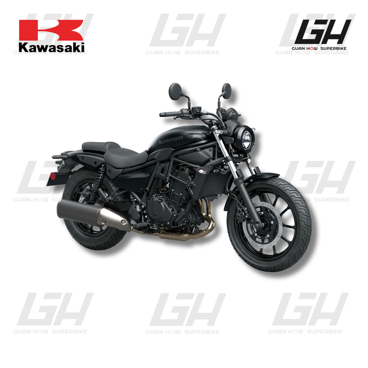 KAWASAKI WEBSITE (14)