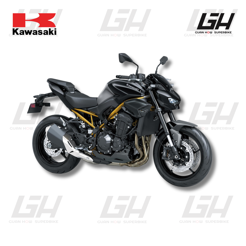 KAWASAKI WEBSITE (24)