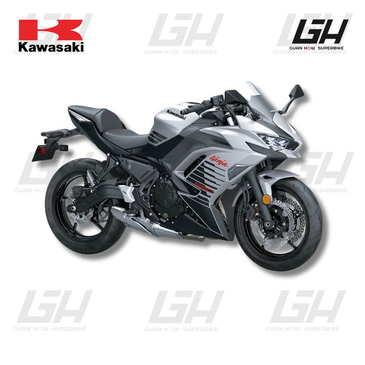 KAWASAKI WEBSITE (27)