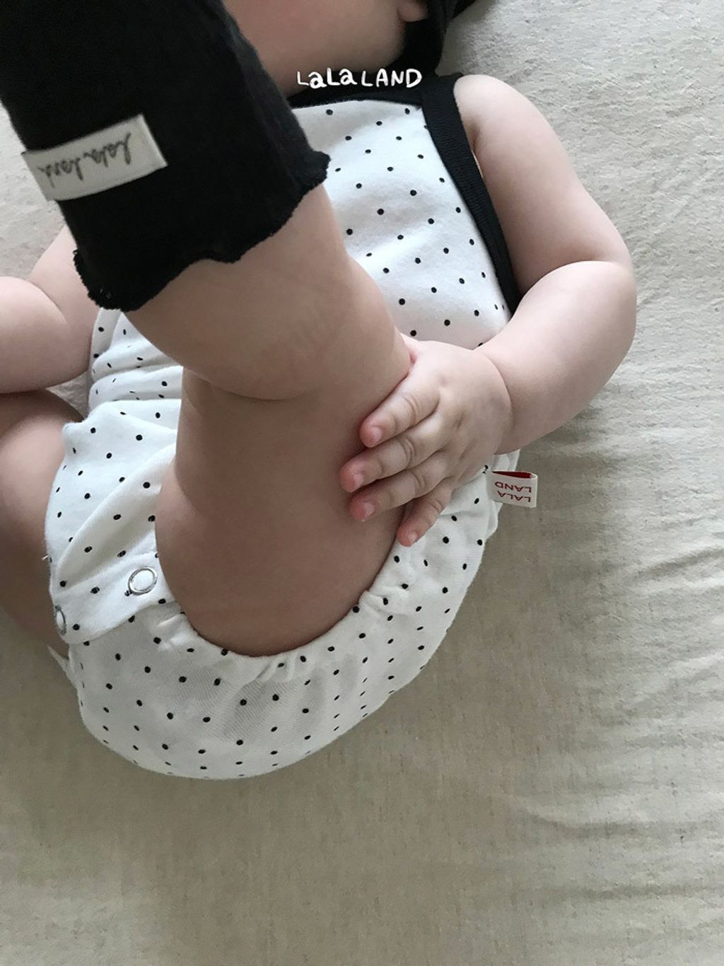 LLNDB61BSX6040312_175H