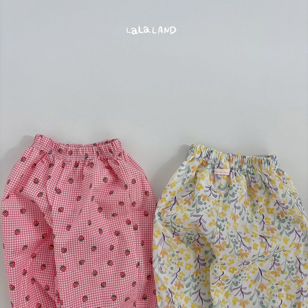 LLNDB61DRX6040225_115P