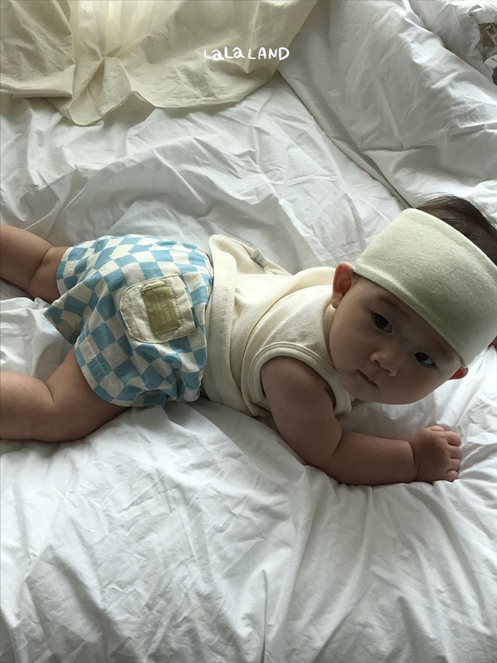 LLNDB61DKX6040316_241B