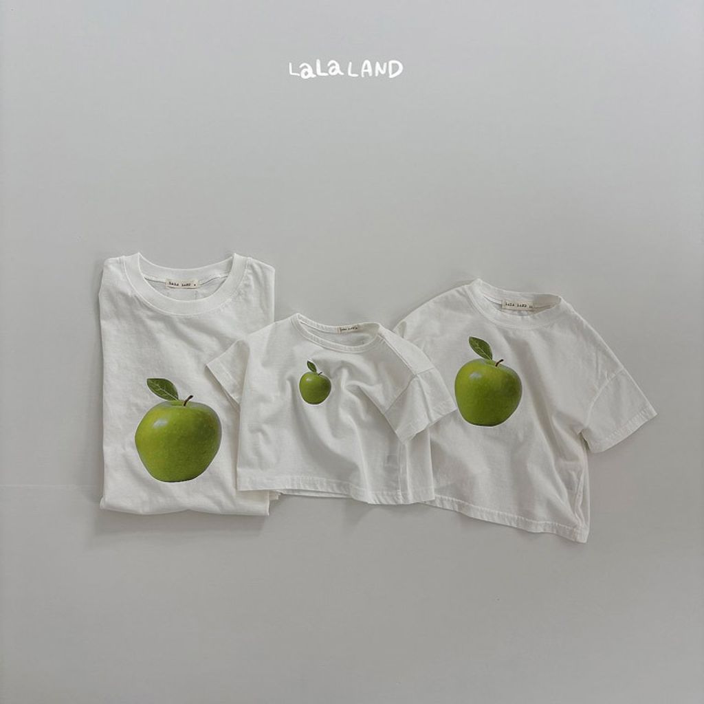 LLNDB61FSX6040343_205M