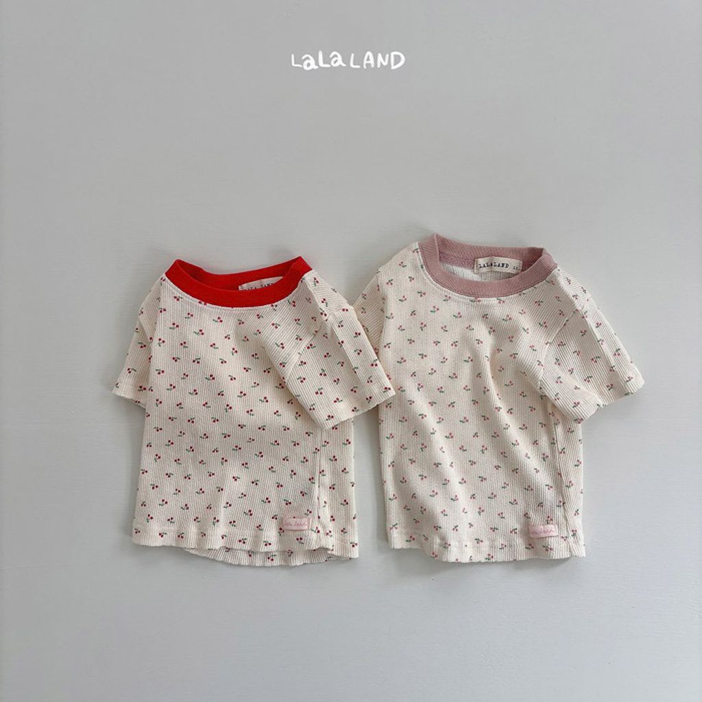 LLNDB61FSX6040258_117R