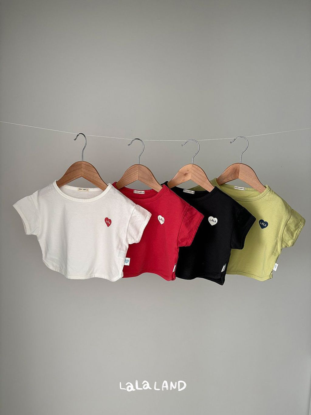 LLNDB61FSX6040338_110K