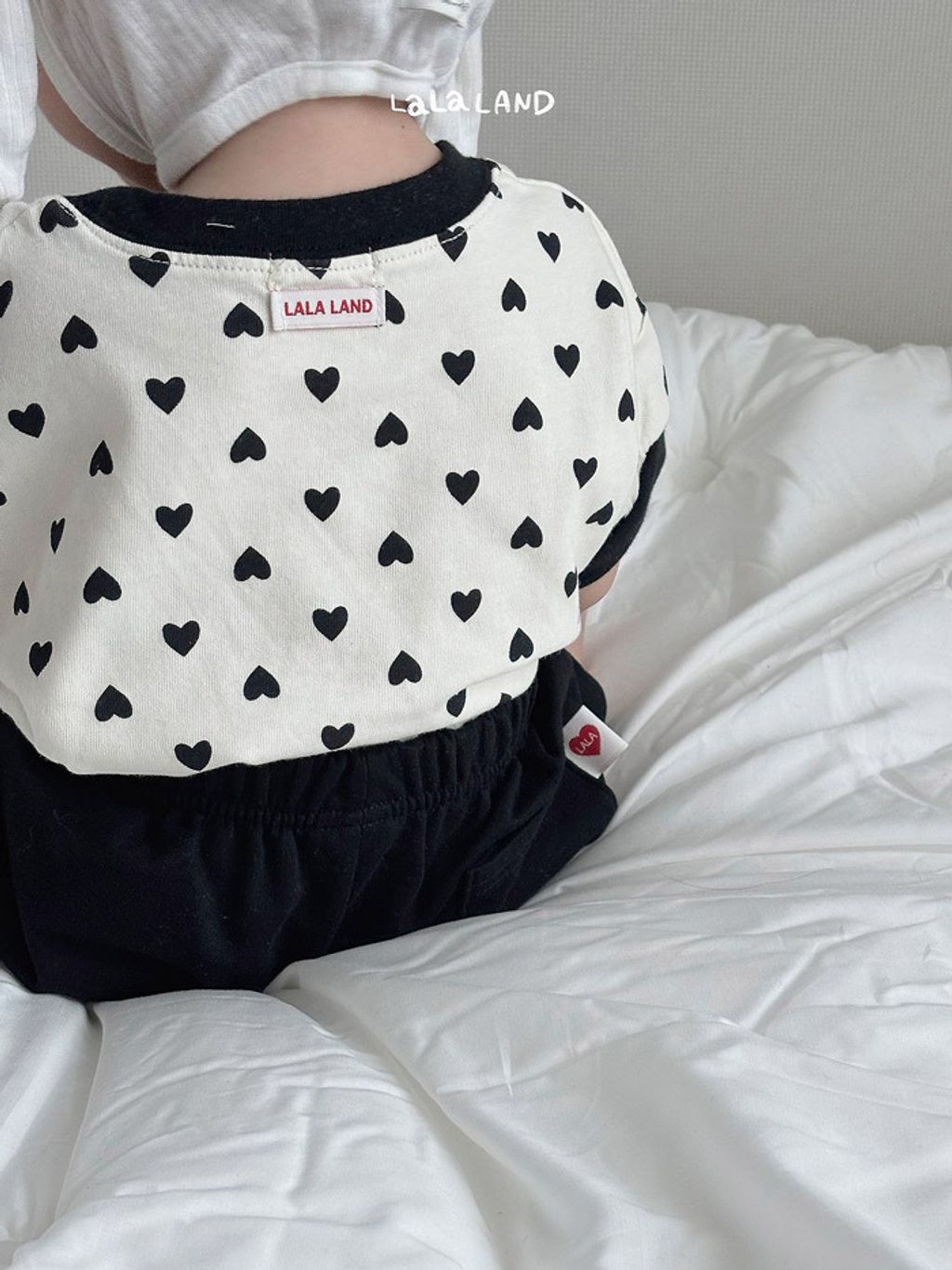 LLNDB61FSX6040347_137I