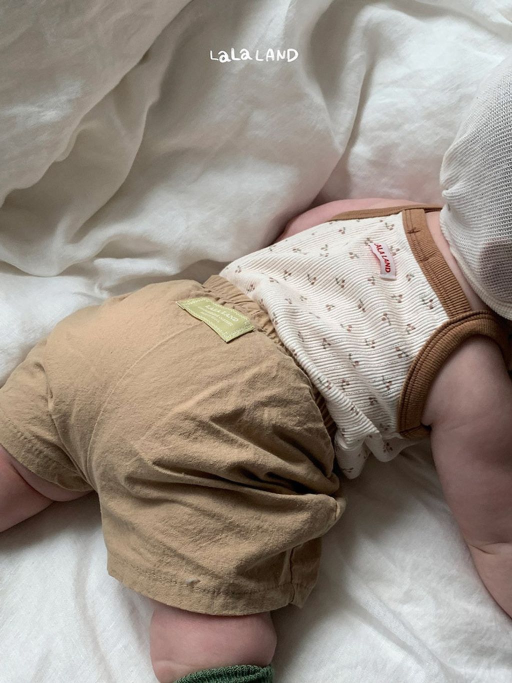 LLNDB61DKX6040319_105F