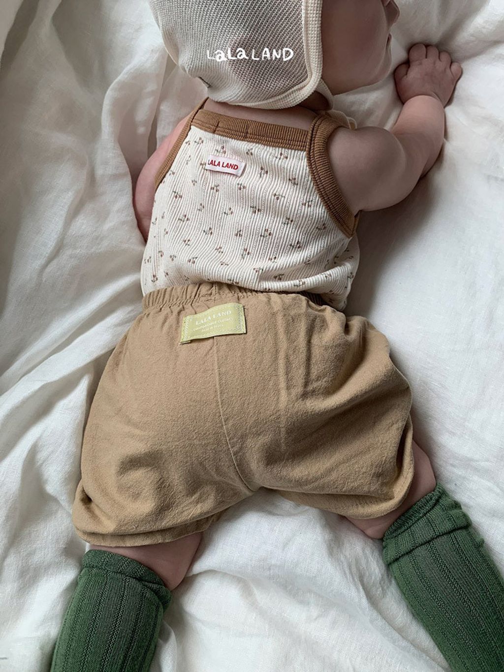 LLNDB61DKX6040319_104E