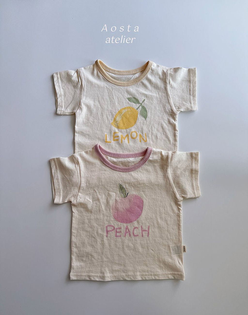 OSTR52FSX6041090_101B