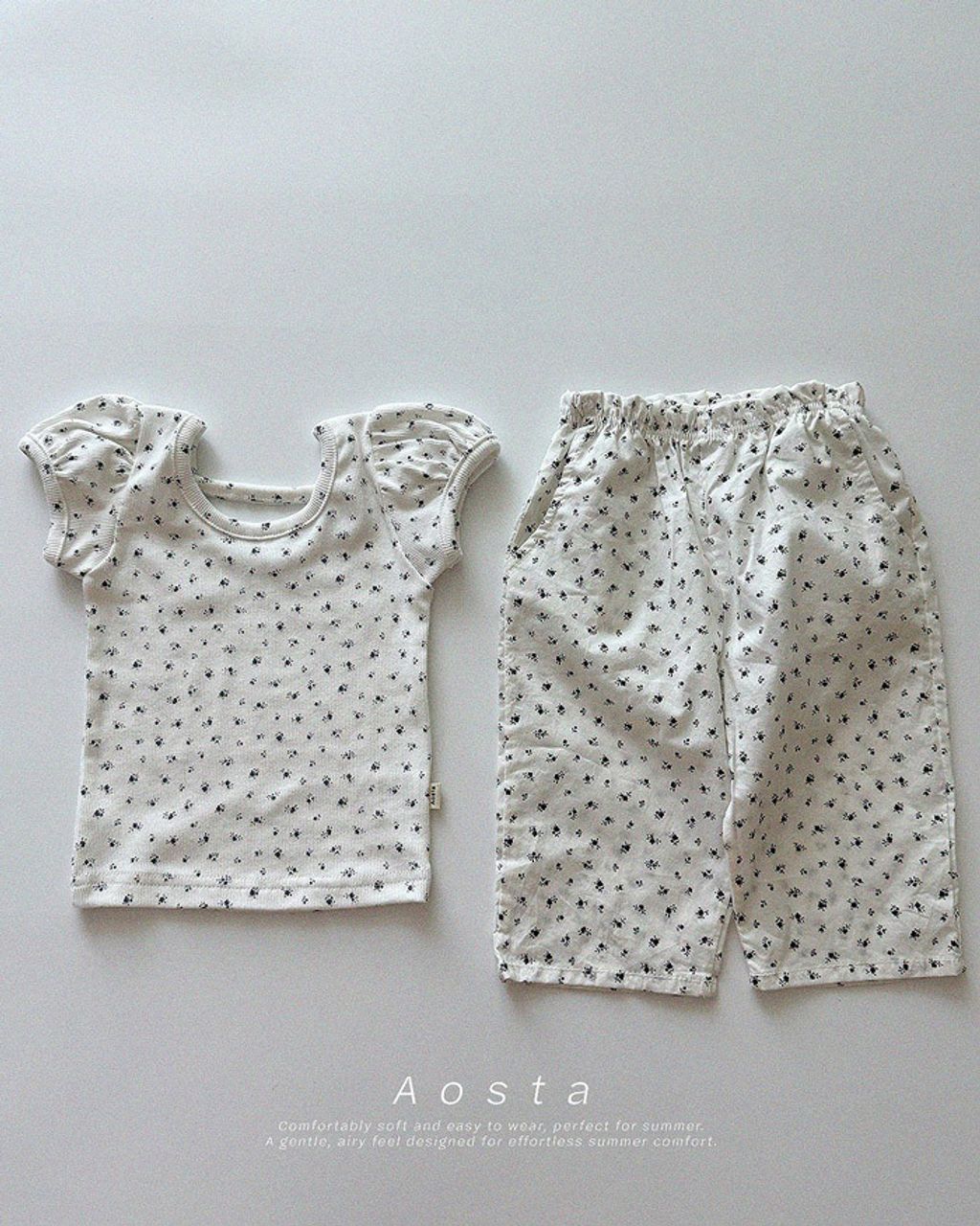 OSTR52FCX6041421_117I