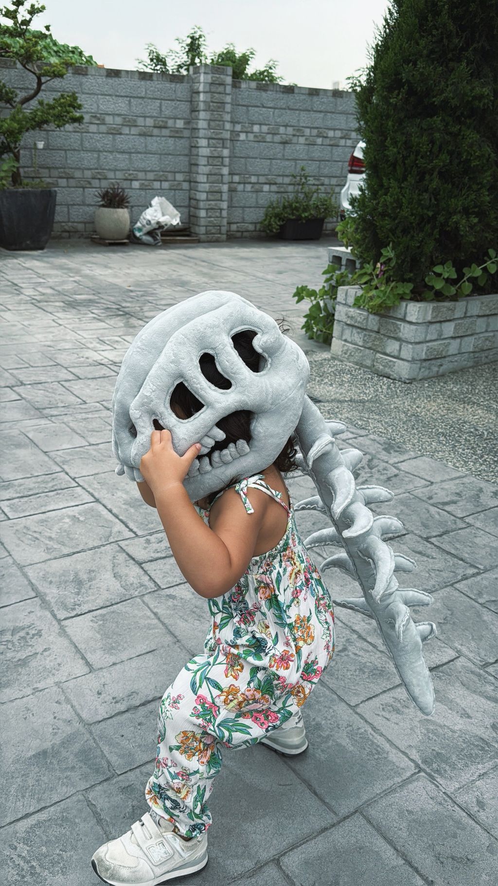 image_CAB5A720-9B69-4296-8F9A-8EDB76A38A73_1756954353