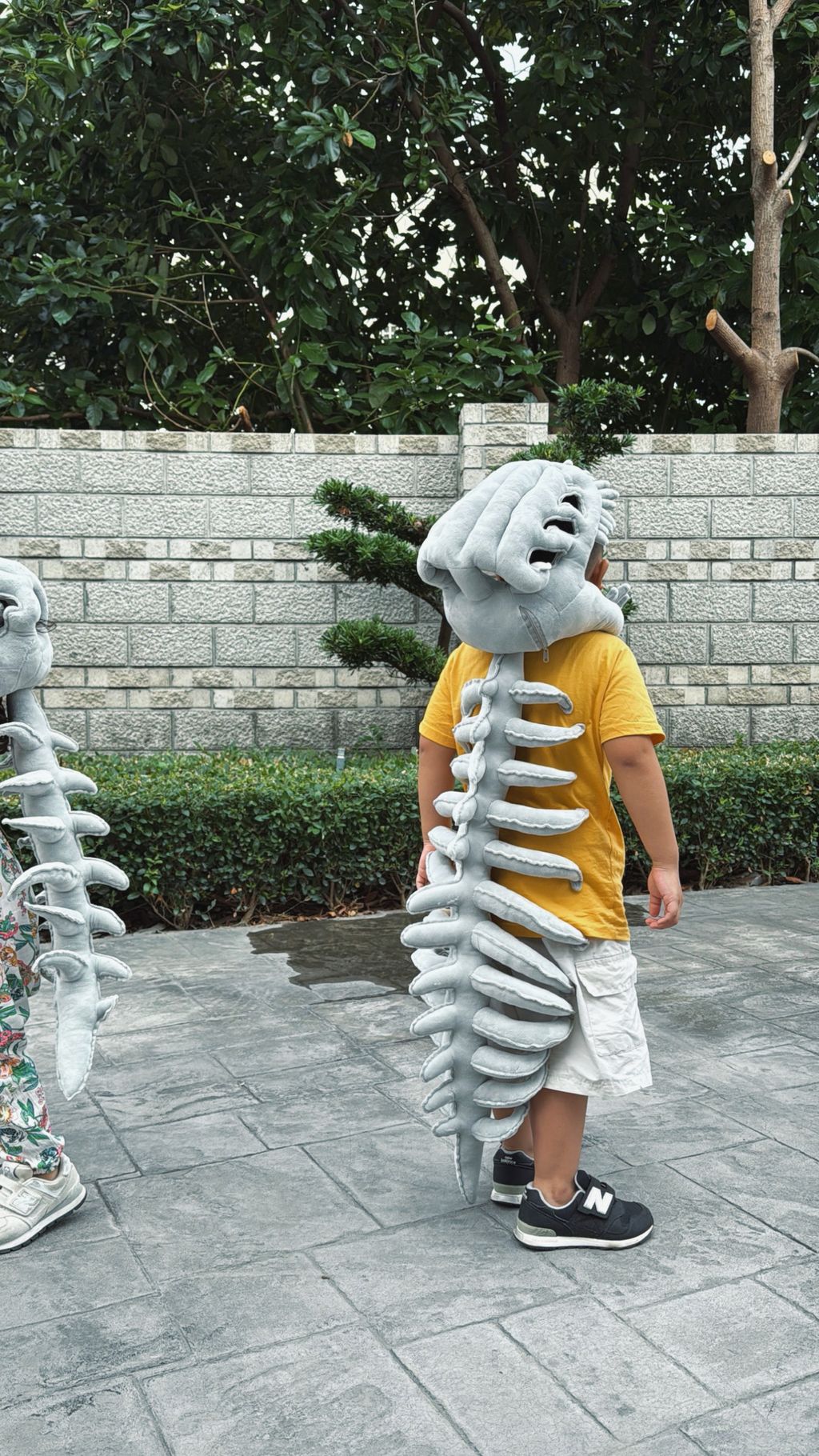 image_476765B9-D53D-4673-B2BB-11DE3BFF9868_1756954353
