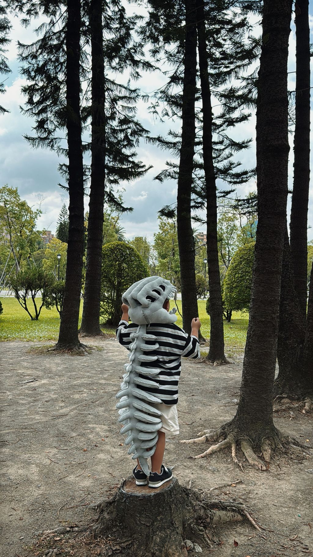 image_1A782CF5-0A0C-46CA-8A43-CD5E7CE91E0A_1757852343
