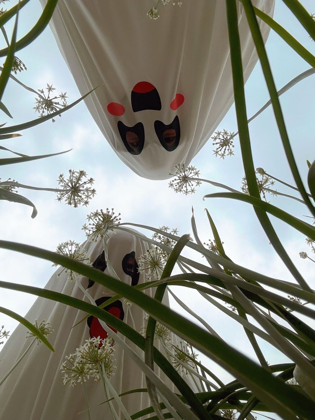 image_2D00D7A6-2605-4D00-98B2-14B0CB1B0C40_1759203887