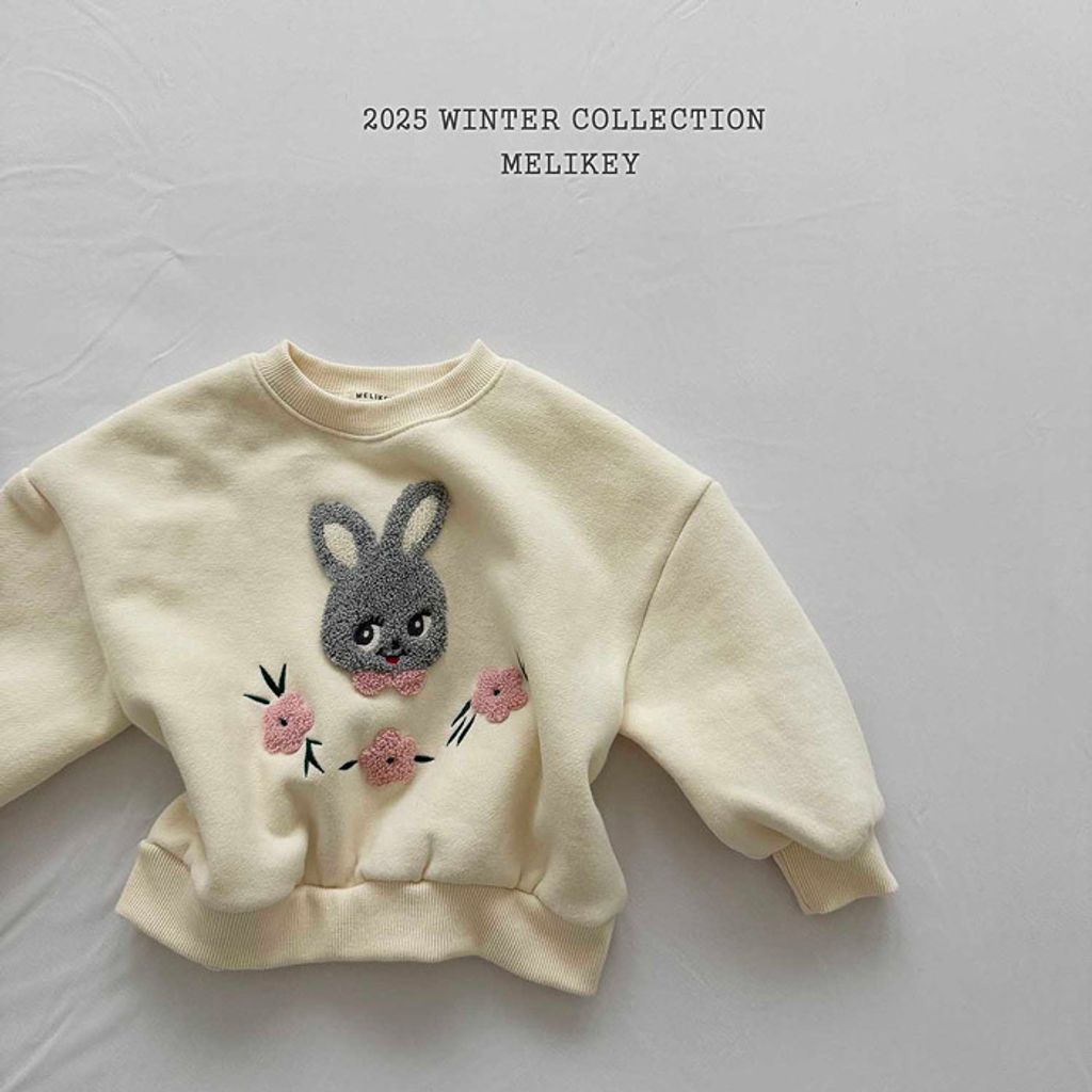 image_807ABA1A-262F-47FB-A24E-FF4FAA048487_1762840370