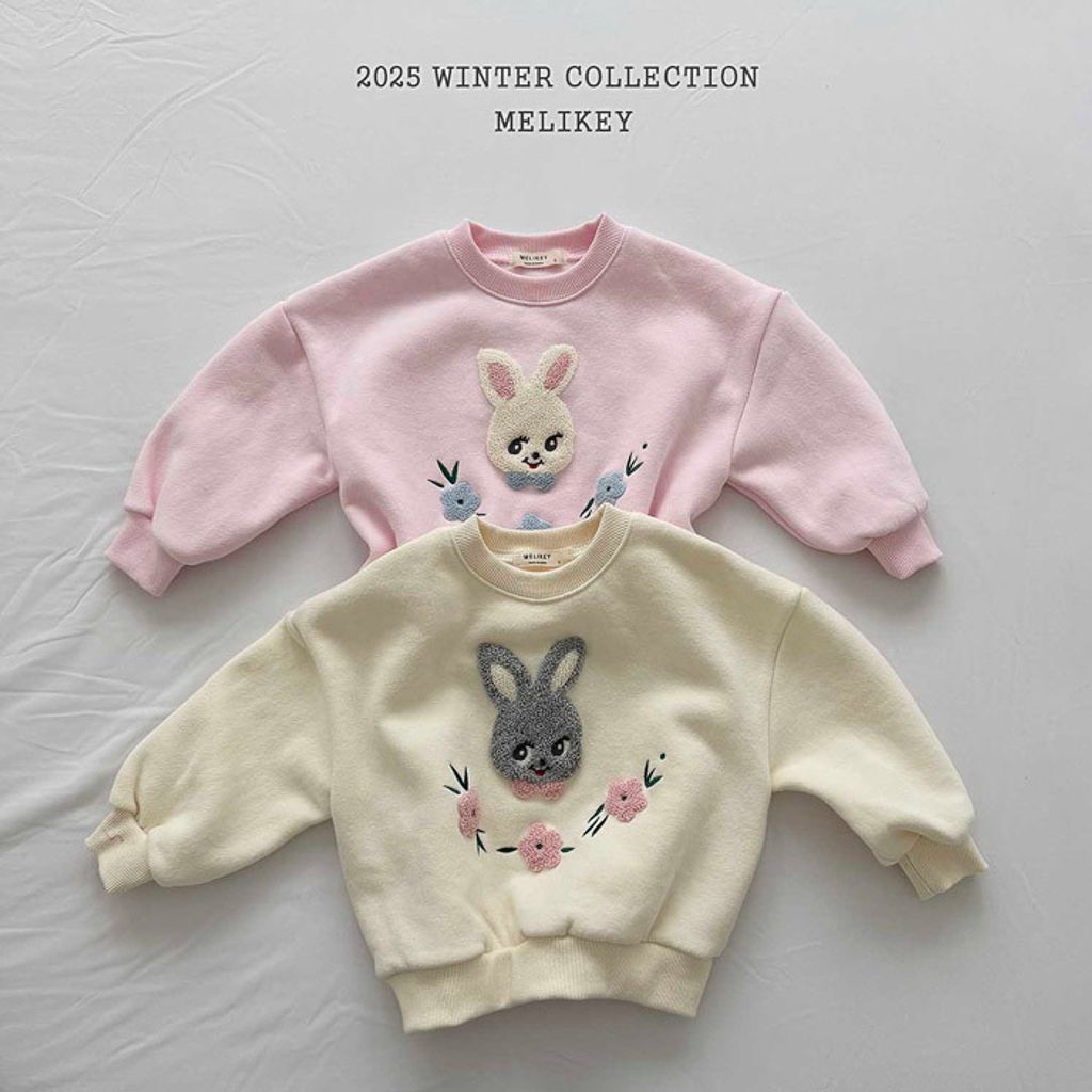 image_BA204D87-819F-400C-953E-06731D655D89_1762840370