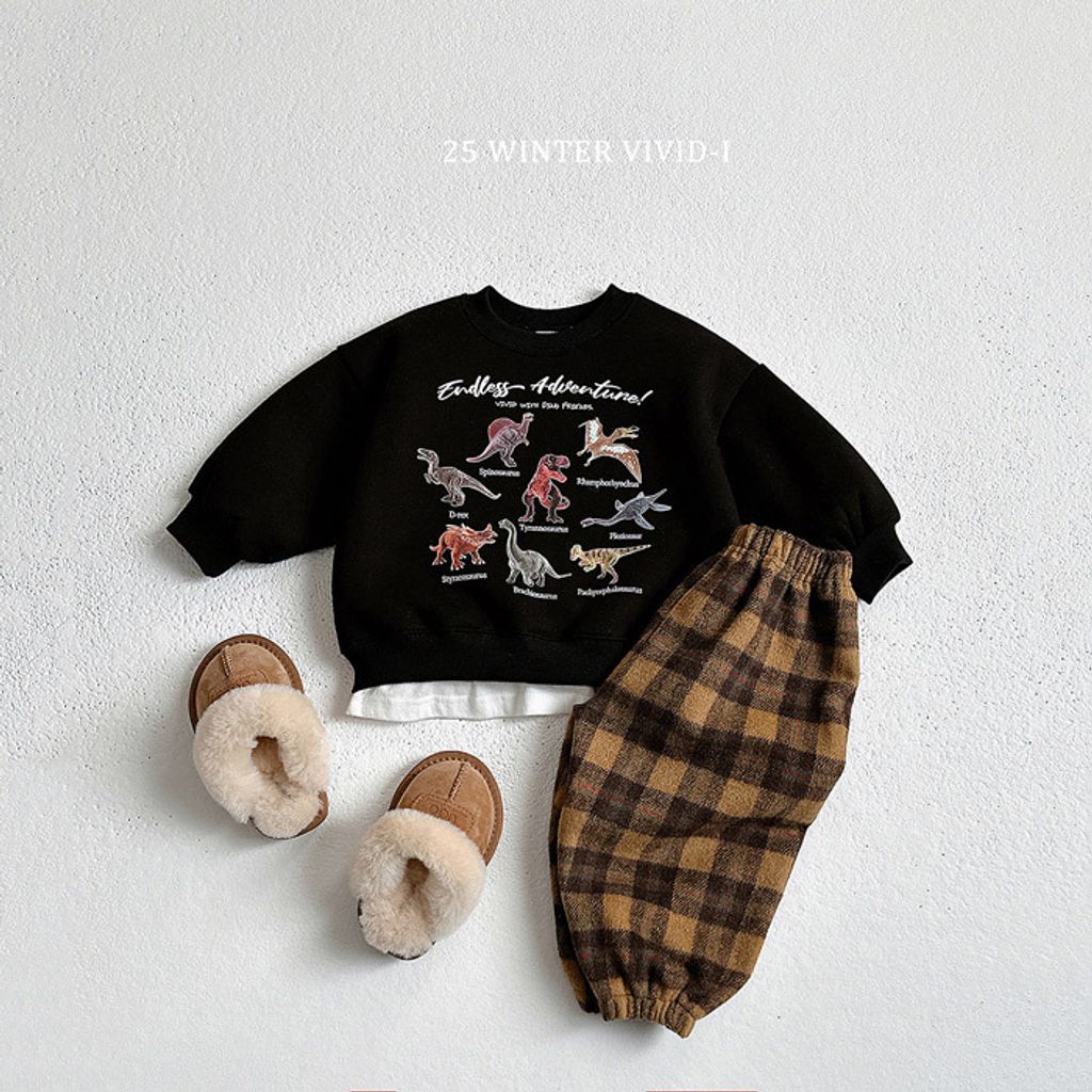 VIVI53DRX5102742_177D