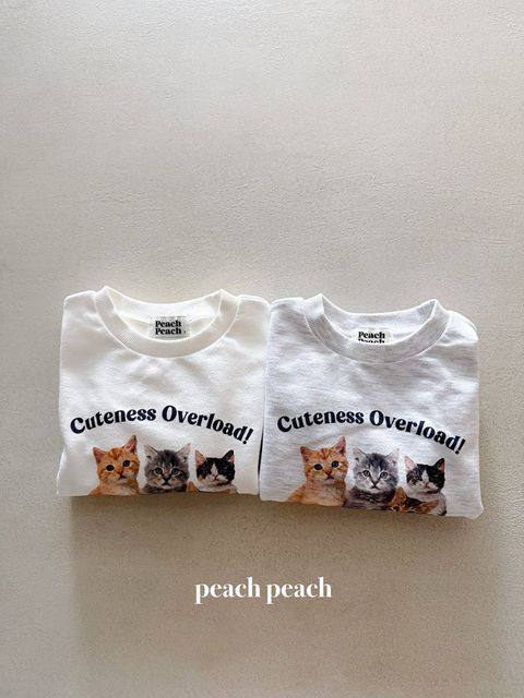 PHPH5FTX6021141_163B