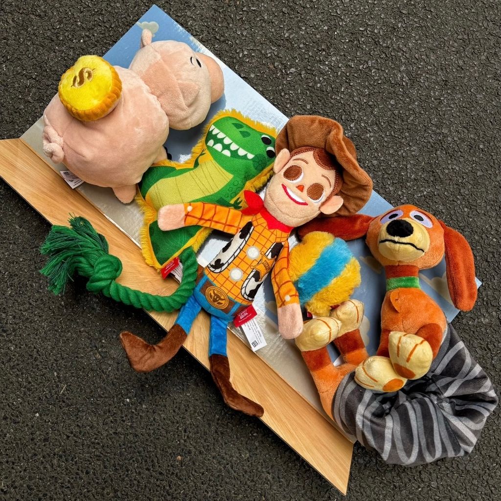 image_0277C80A-25B3-4D89-891C-AB749E847537_1774771400