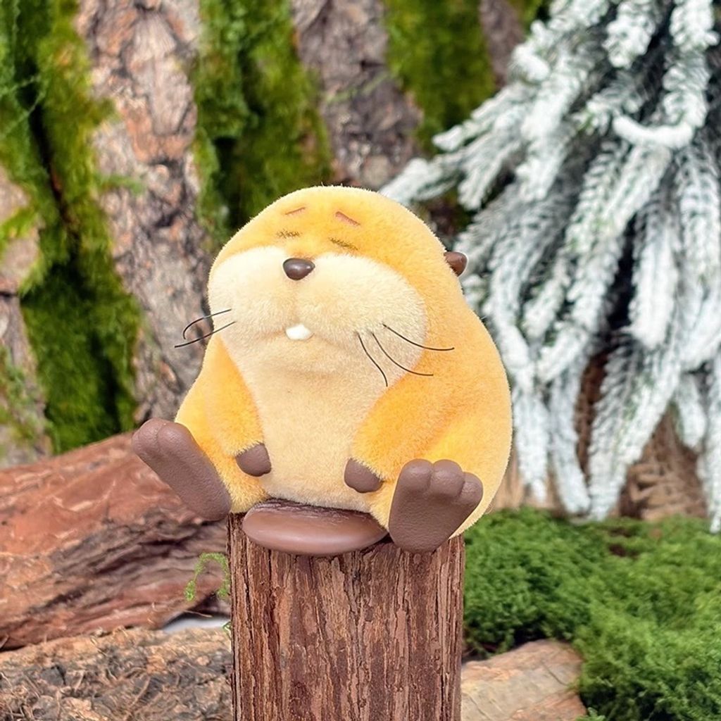 image_946CDD63-701F-482E-87DA-E68BFB458D7D_1775139503