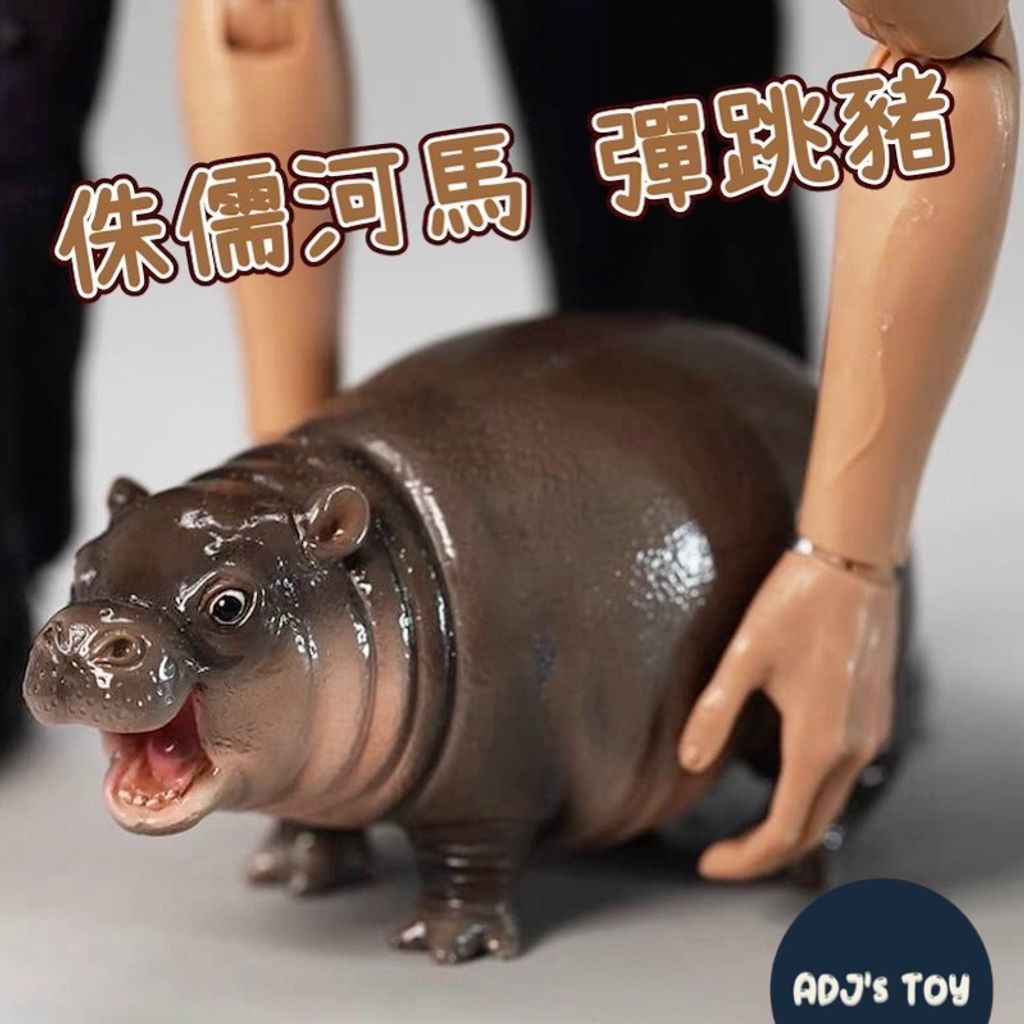專案 11-05 (1)-1730760006370
