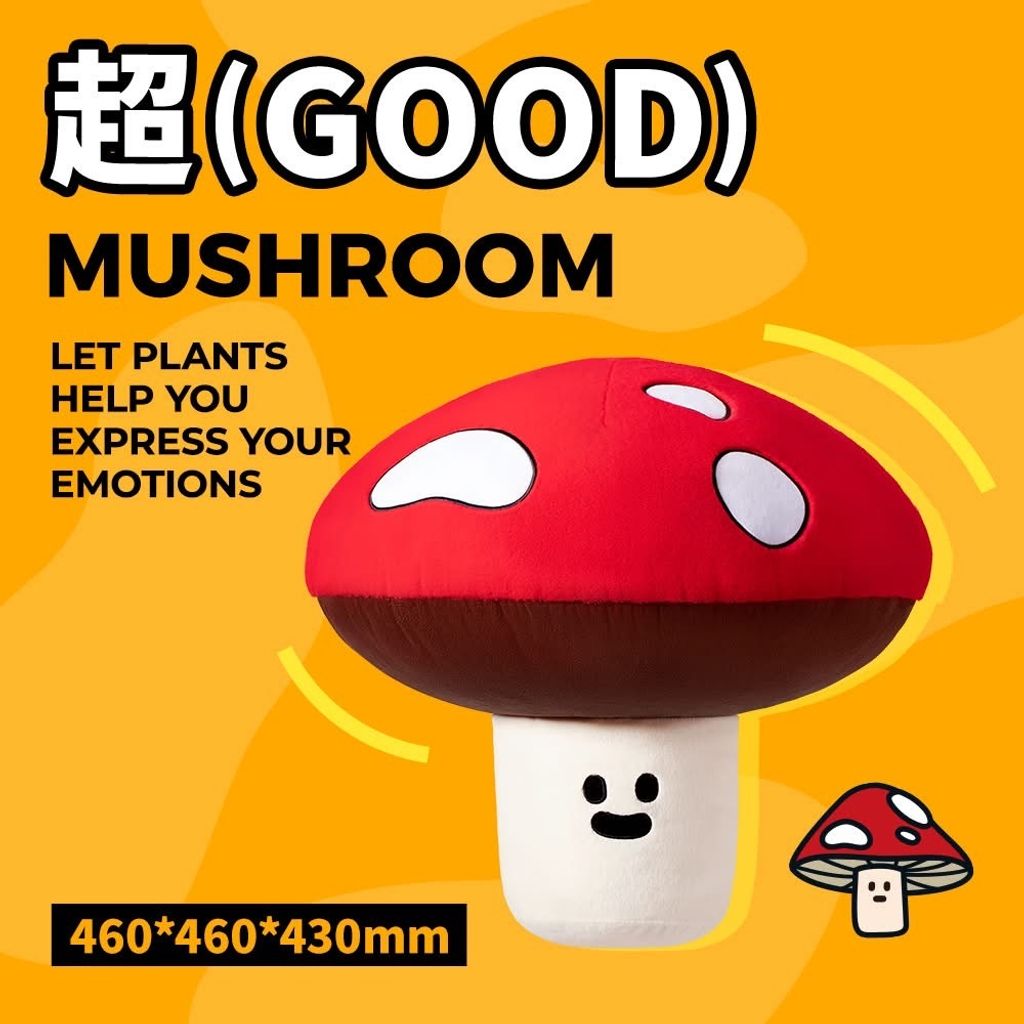image_B29EA312-FEBB-4264-9596-D571F984EC1C_1750228240