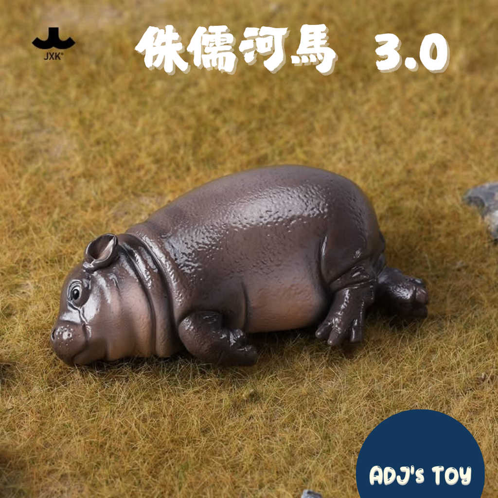 image_8D159017-E73C-4FE8-99F6-02DE2F31937C_1753277949